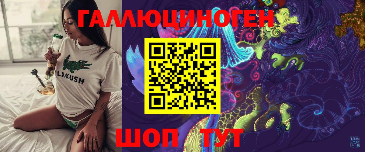 Заводоуковск  Псилоцибиновые грибы Psilocybine cubensis  Вход с VPN  Псилоцибиновые грибы Cubensis 