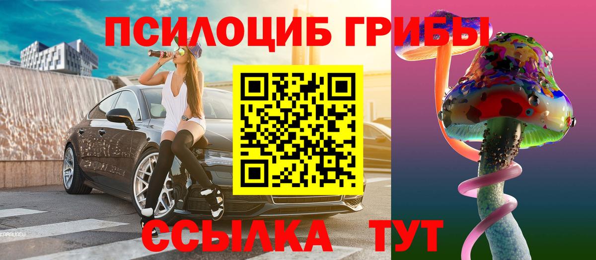 Галлюциногенные грибы Psilocybe Заводоуковск