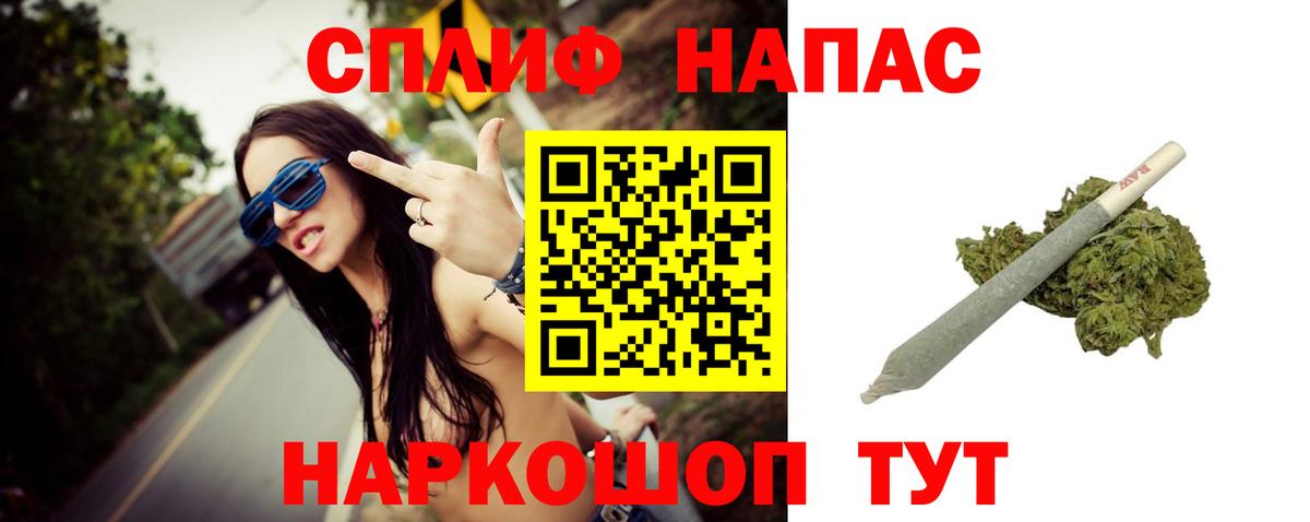 Бошки Шишки планчик Заводоуковск